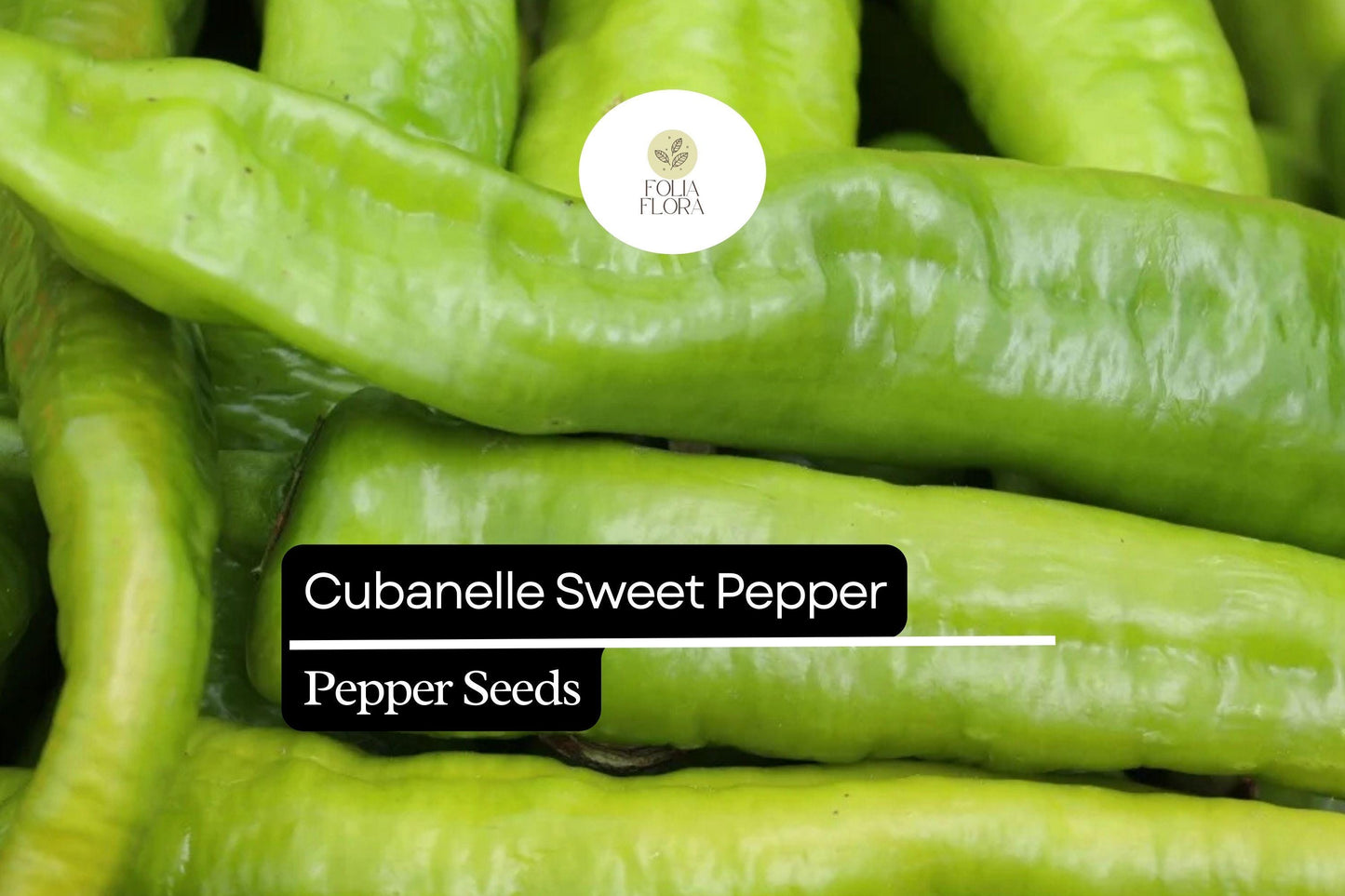 25 Cubanelle Sweet Pepper Seeds – Capsicum annuum – Mild, Crisp & Flavorful, High-Yielding, Great for Frying