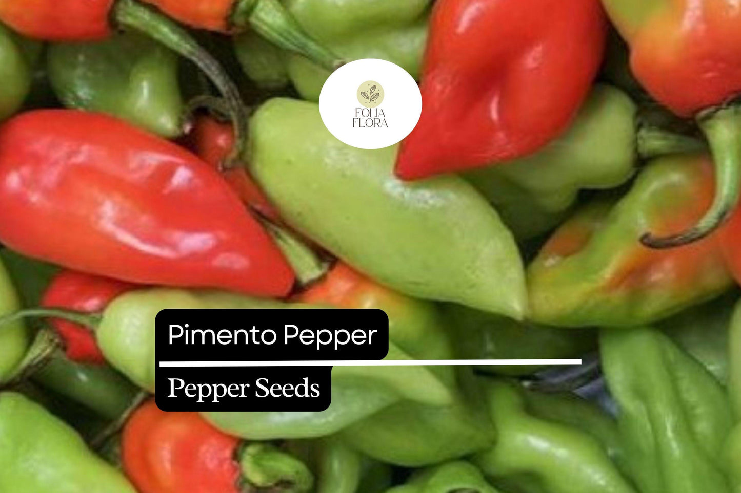 25 Seeds Pimento Pepper (Capsicum annuum) – Sweet and Mild Heirloom Variety for Fresh Eating and Preserving
