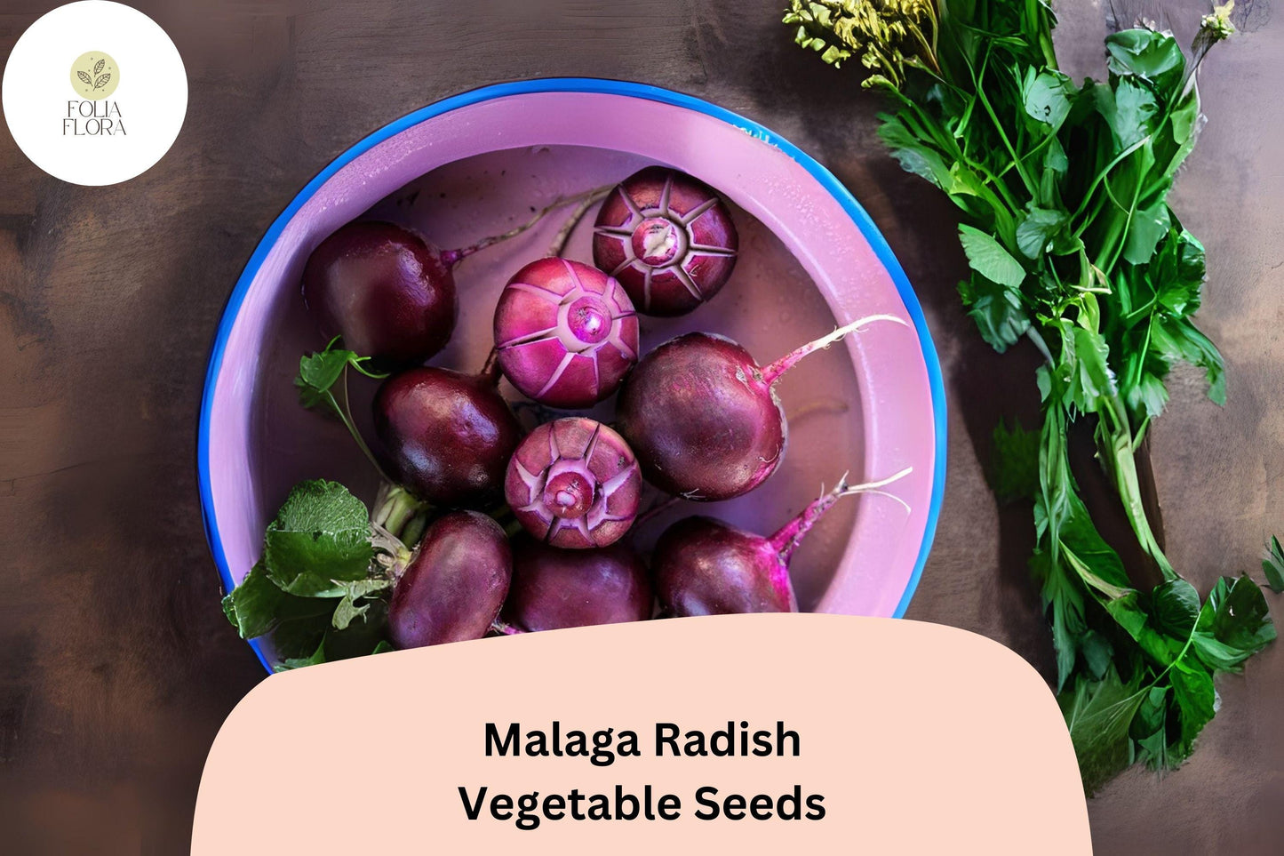 500+ Malaga Radish Seeds – Heirloom Long Red Radish Seeds for Garden Planting