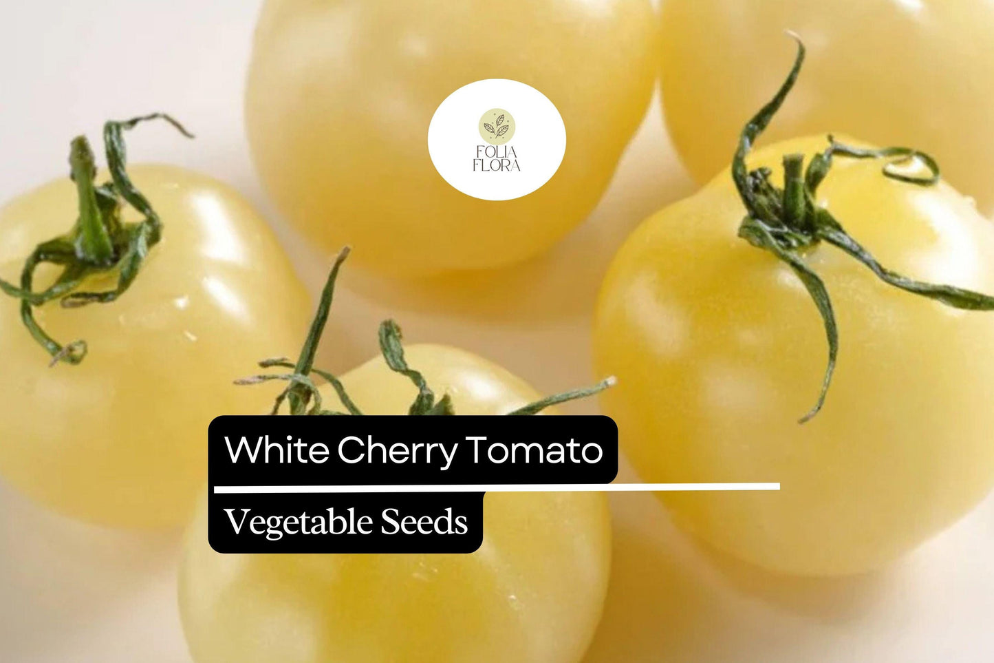 White Cherry Tomato Seeds | 15 Seeds | Rare Heirloom Solanum Lycopersicum for Home Garden Vegetable Growing