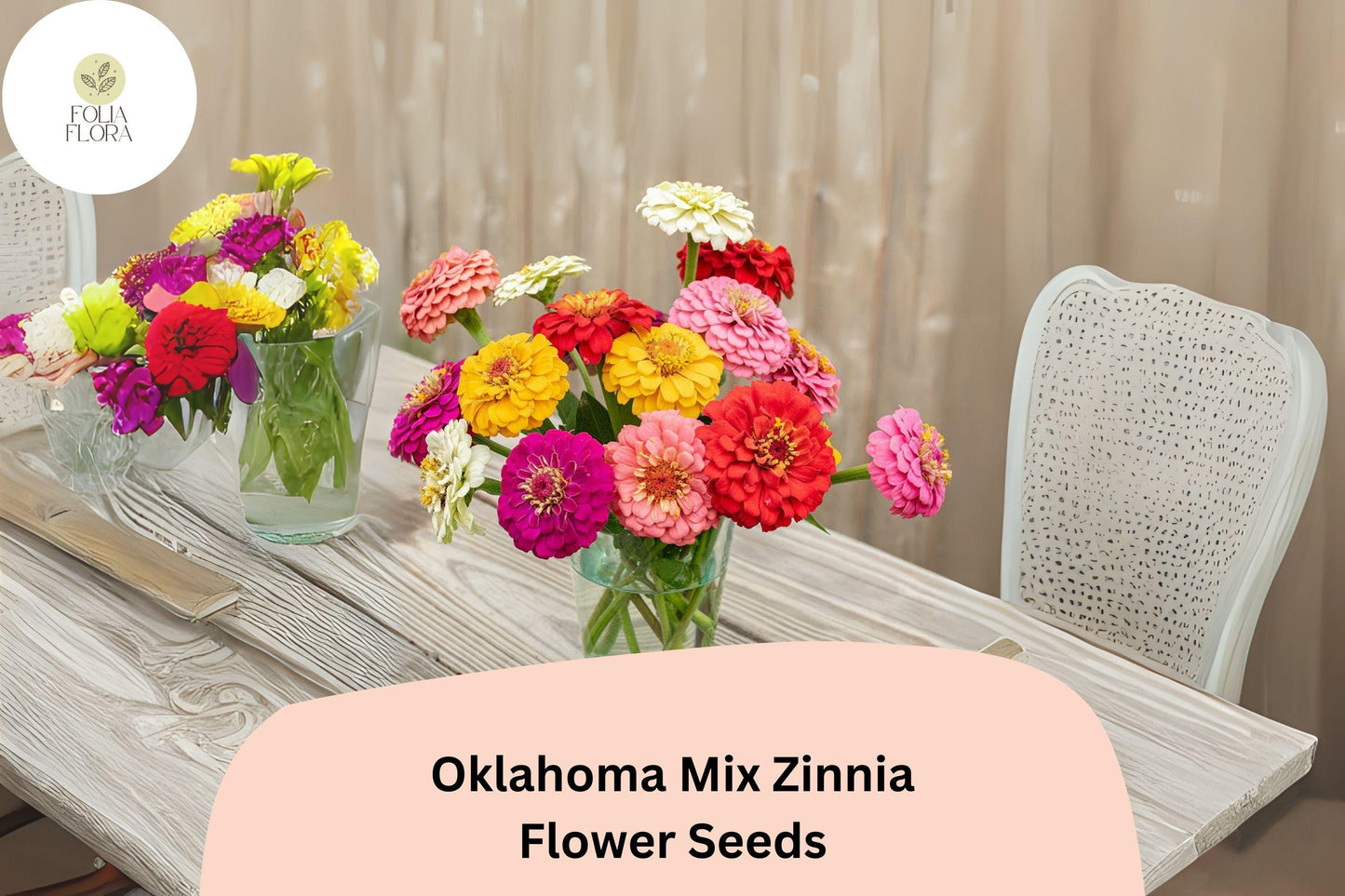 100+ Oklahoma Mix Zinnia Seeds – Long-Lasting Blooms for Bouquets, Borders & Summer Gardens