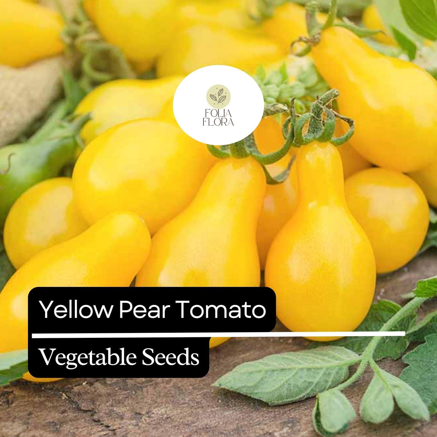 30 Yellow Pear Tomato Seeds – Heirloom, Sweet & Juicy, Non-GMO, Prolific Vine, Easy to Grow