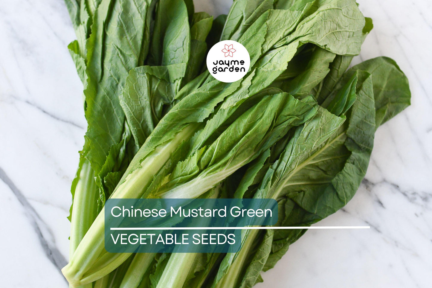 2,000 Chinese Mustard Green Seeds - Gai Choy, Cai Be Xanh, Fast-Grow, Nutrient-Rich, USA Seller, Perfect for Stir-Fries & Salads