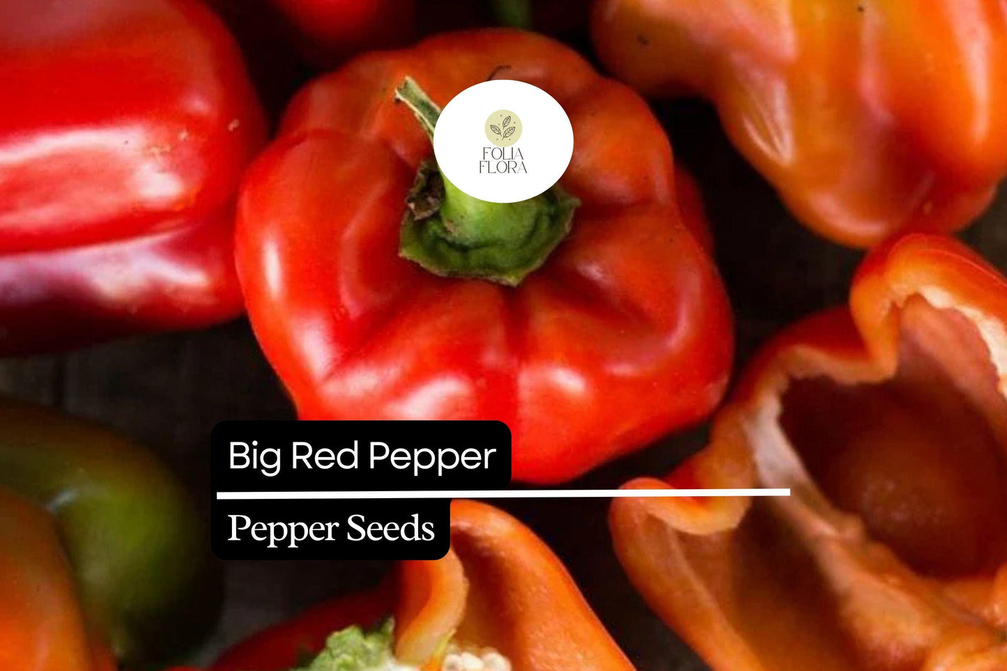 25 Big Red Pepper Seeds – Capsicum annuum – Sweet, Thick-Walled, High-Yielding, Perfect for Stuffing