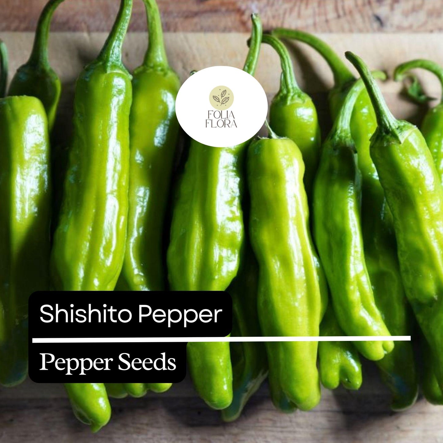 20 Shishito Pepper Seeds – Mild & Sweet – Heirloom, Non-GMO, Easy to Grow