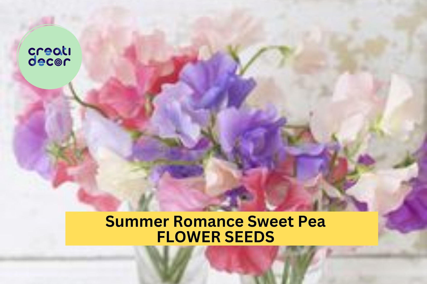 50+ Summer Romance Sweet Pea Seeds – Blush Pink Fragrant Blooms for Garden Planting, Climbing Vines for Trellises & Bouquets – USA