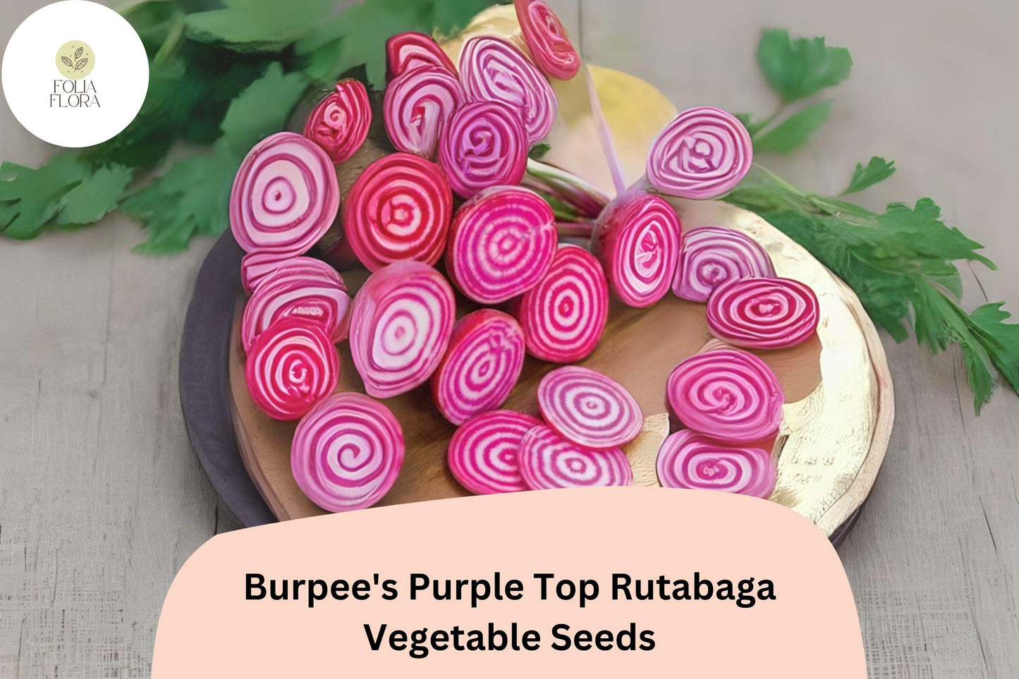 500+ Burpee’s Purple Top Rutabaga Seeds – Heirloom Brassica Seeds for Garden Planting