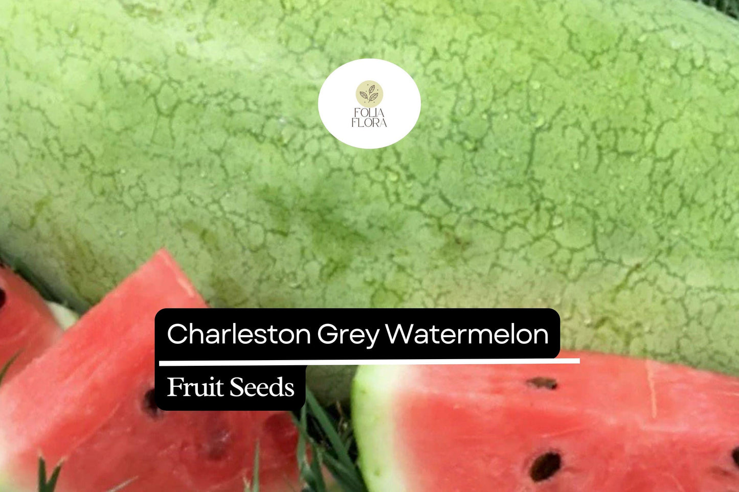20 Seeds Charleston Grey Watermelon (Citrullus lanatus) – Sweet, Juicy, Classic Summer Favorite