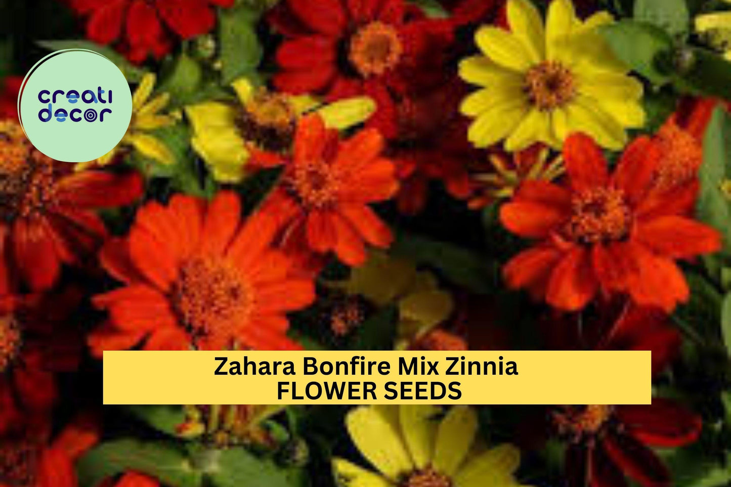 100+ Zahara Bonfire Mix Zinnia Seeds – Fiery Red, Orange & Yellow Blooms for Garden Planting, Heat-Tolerant Annuals – USA