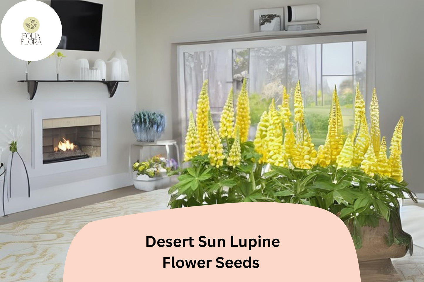 Lupinus ‘Desert Sun’ Lupine Seeds – 25+ Bright Yellow & Orange Blooms for Garden Planting