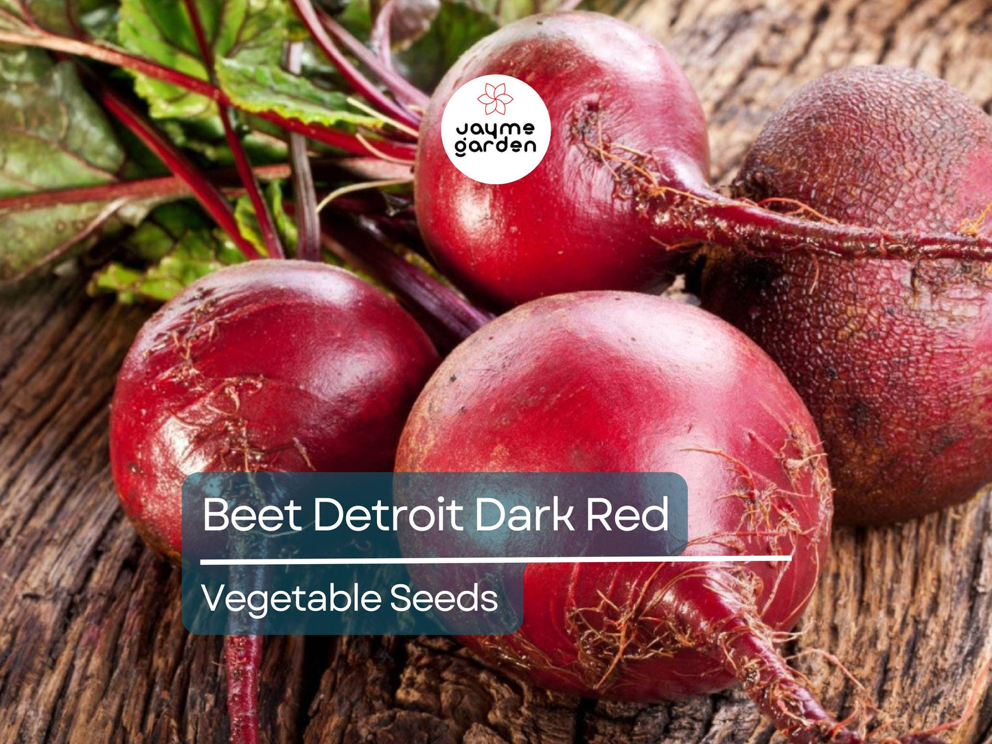 Beet Detroit Dark Red 1 Gram Seeds - Heirloom Non-GMO Variety - Sweet Tender Beets for Fresh Eating, Roasting, Salads, & Juicing