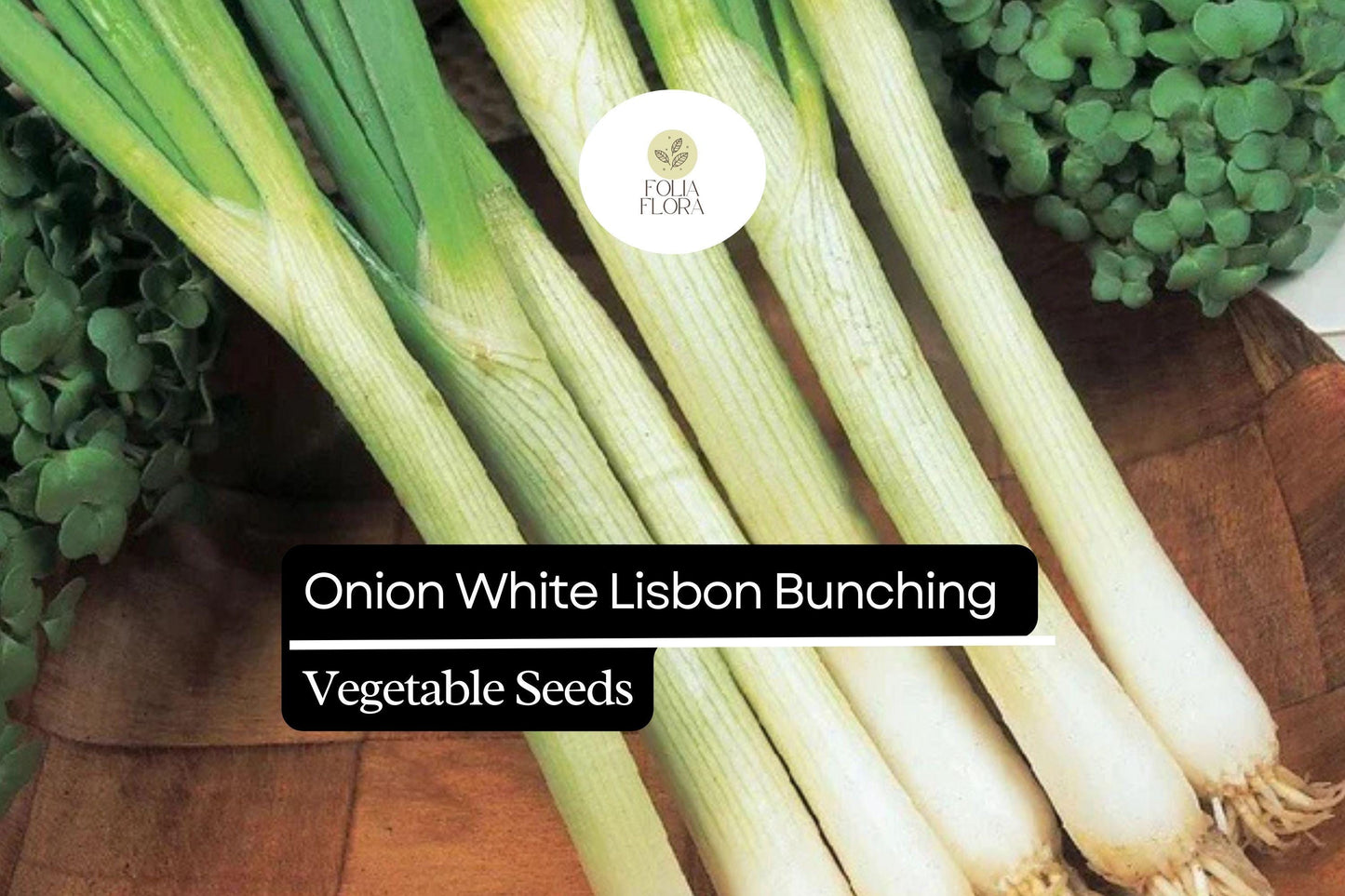 250mg Onion White Lisbon Bunching Seeds Allium cepa | Fresh Green Scallions, Heirloom Non-GMO, Fast-Growing Variety