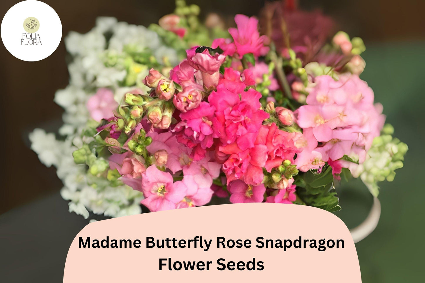 Antirrhinum majus Madame Butterfly Rose Snapdragon Seeds – 1000+ Ruffled Blooms for Garden & Cut Flowers