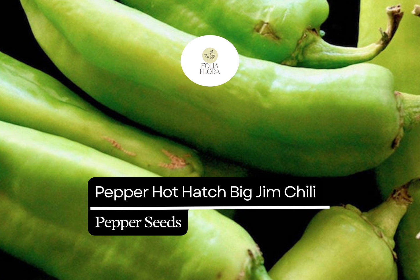 25 Hatch Big Jim Pepper Seeds – Capsicum annuum – Mild to Medium Heat, Heirloom, Non-GMO, Perfect for Roasting