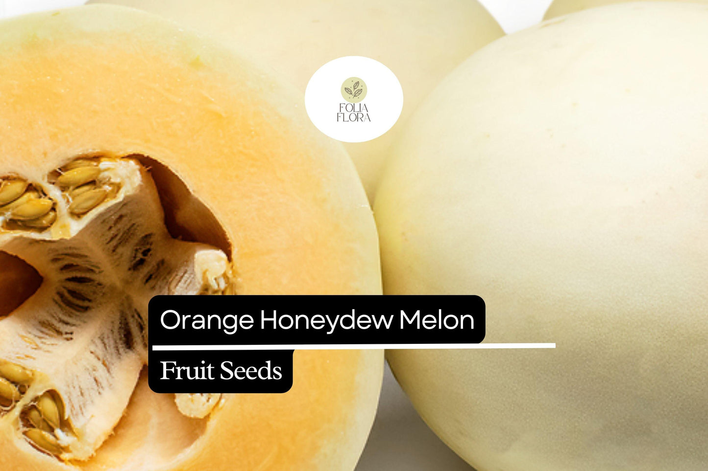 50 Seeds Orange Honeydew Melon, Cucumis Melo, Sweet Juicy Orange-Fleshed Melon