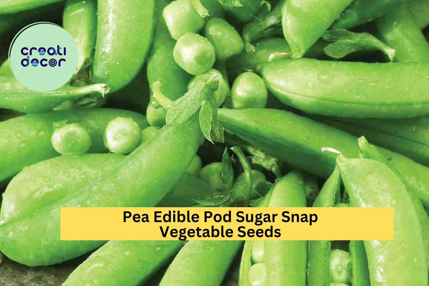 3pcs of 5g Sugar Snap Pea Seeds – Crisp Edible Pods for Snacking, Stir-Fry, and Easy Growing in Home Vegetable Gardens Seeds for Planting