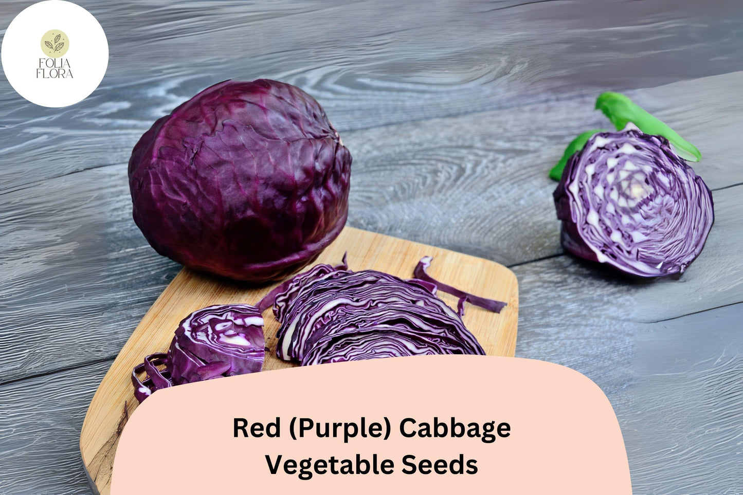 500+ Red (Purple) Cabbage Seeds | Heirloom Garden Vegetable | Brassica oleracea | Fresh Bulk Seeds for Planting