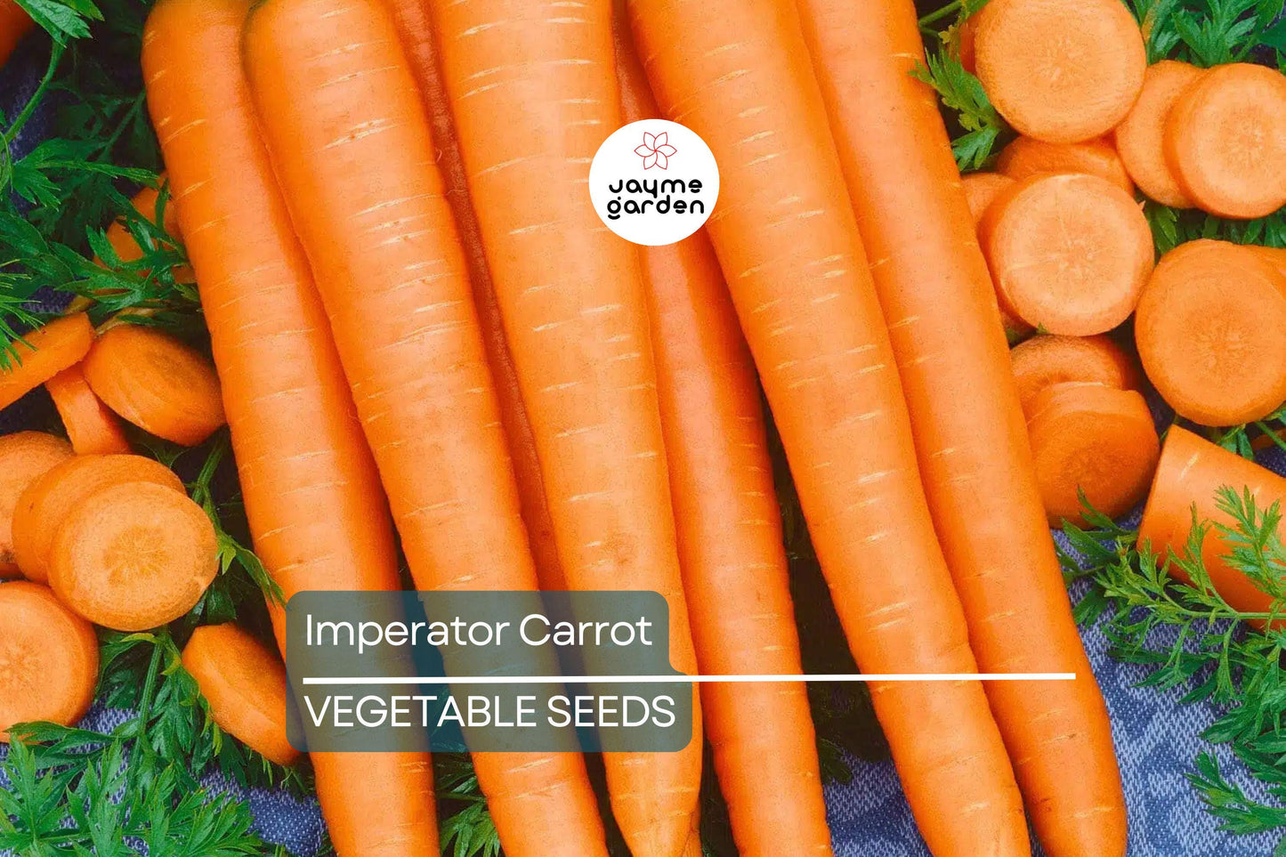 2,000 Imperator Carrot Seeds - Heirloom, NON-GMO, All-America Selections, Free Shipping