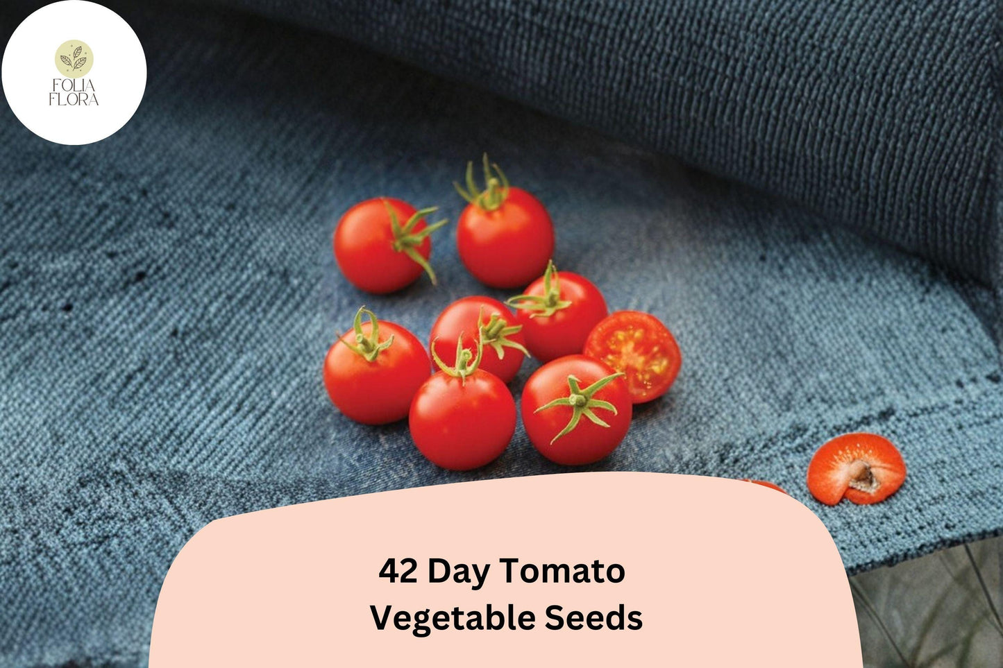 42-Day Tomato Seeds 100+ | Solanum lycopersicum Early Ripening Heirloom Red Garden Tomato