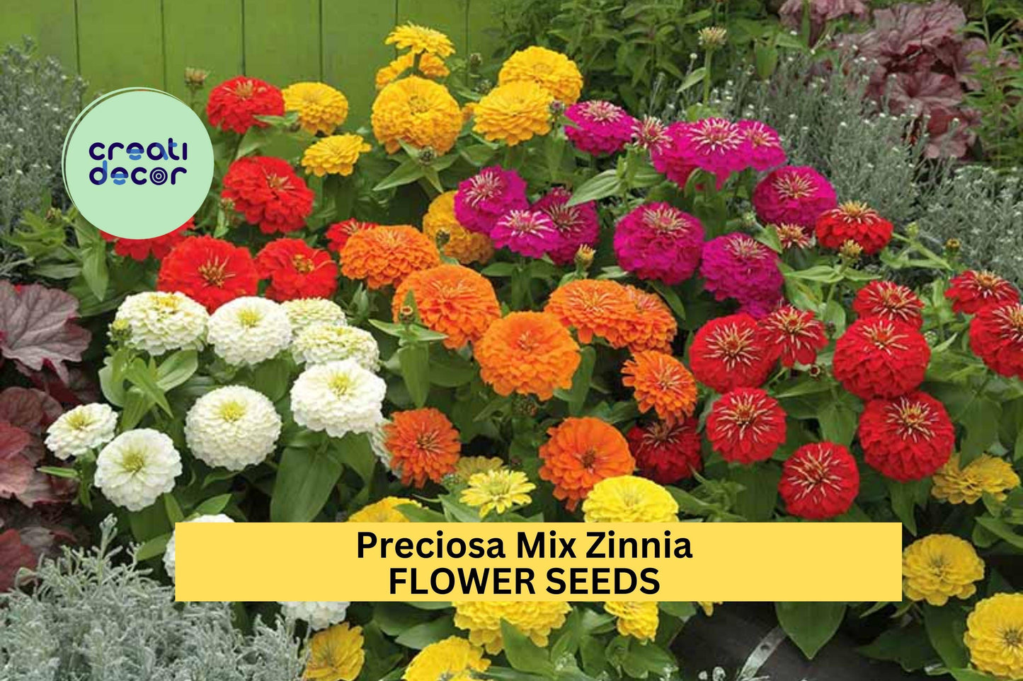 100+ Preciosa Mix Zinnia Seeds – Vibrant Mixed Blooms for Garden Planting, Compact & Long-Lasting Annuals for Beds , Containers – USA