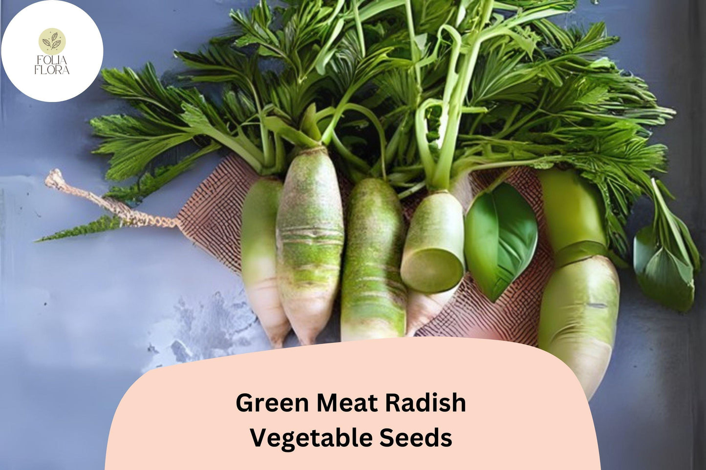 500+ Green Meat Radish Seeds – Heirloom Daikon Variety, Crisp & Mild Flavor