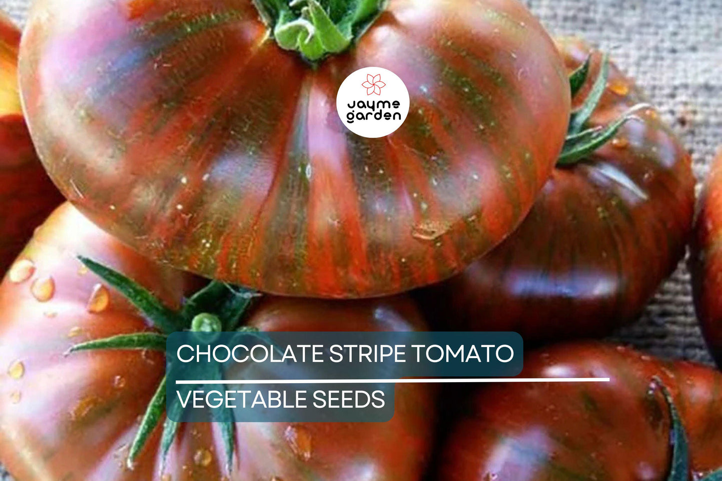 30+ Chocolate Stripes Tomato Seeds - Heirloom - Organic - Non-GMO - Rare Bicolor - Sweet & Earthy Flavor - Long Season Variety