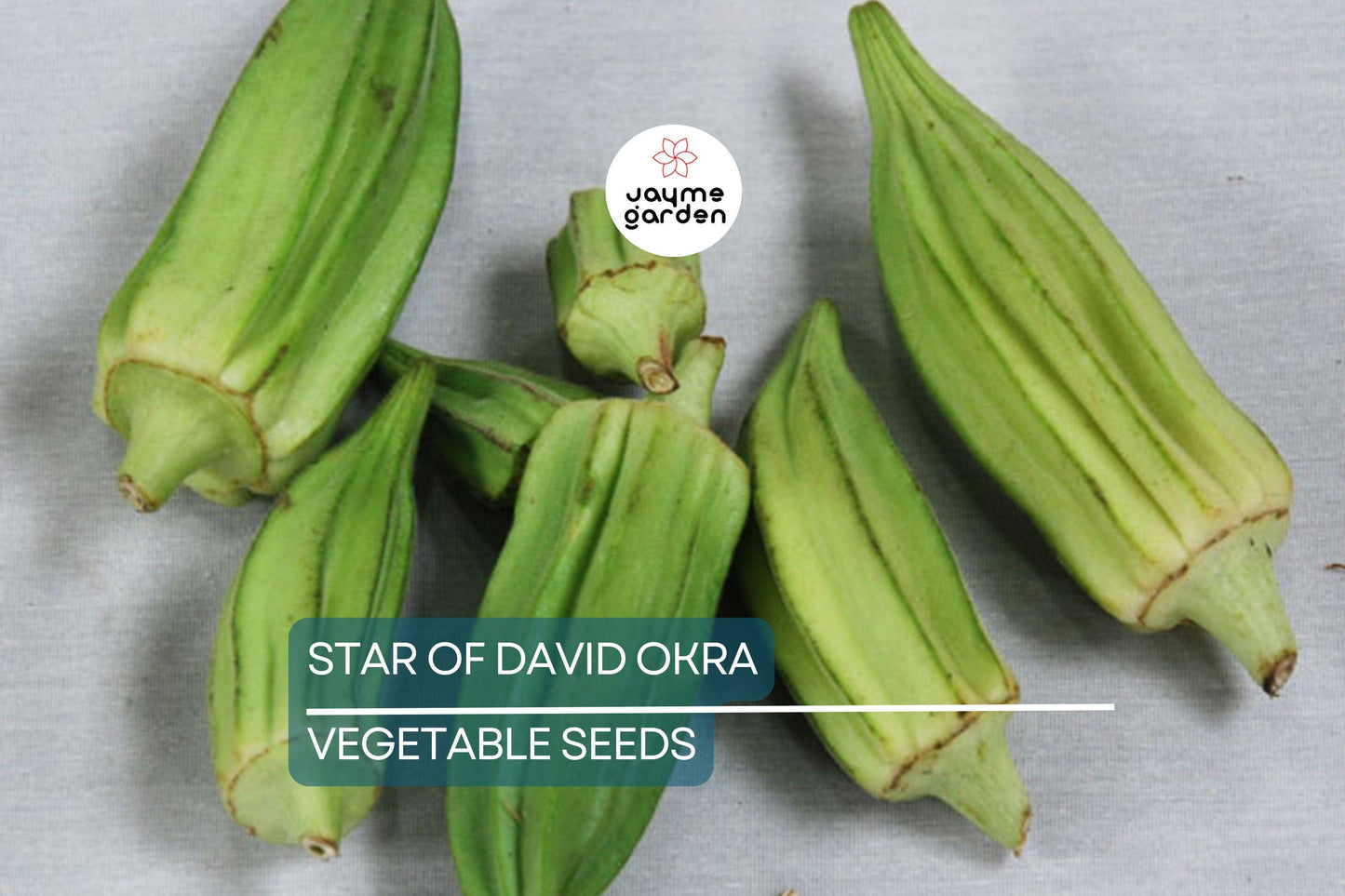 40 Star of David Okra Seeds ā Heirloom, Non-GMO, Unique Shape & Flavor | USA Seller, Free Shipping