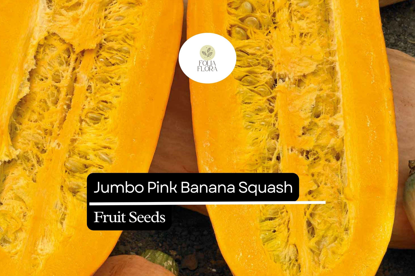 10 Seeds Jumbo Pink Banana Squash (Cucurbita maxima) – Heirloom Variety, Sweet & Versatile
