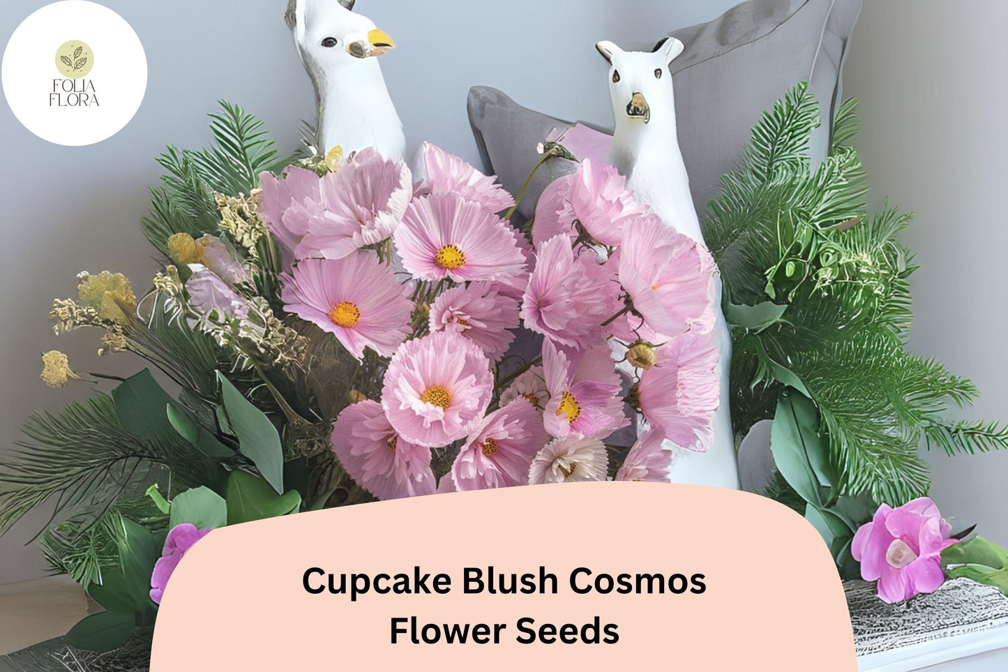 200+ Cupcake Blush Cosmos Seeds | Cosmos Bipinnatus Soft Pink Annual Flower Garden Seeds