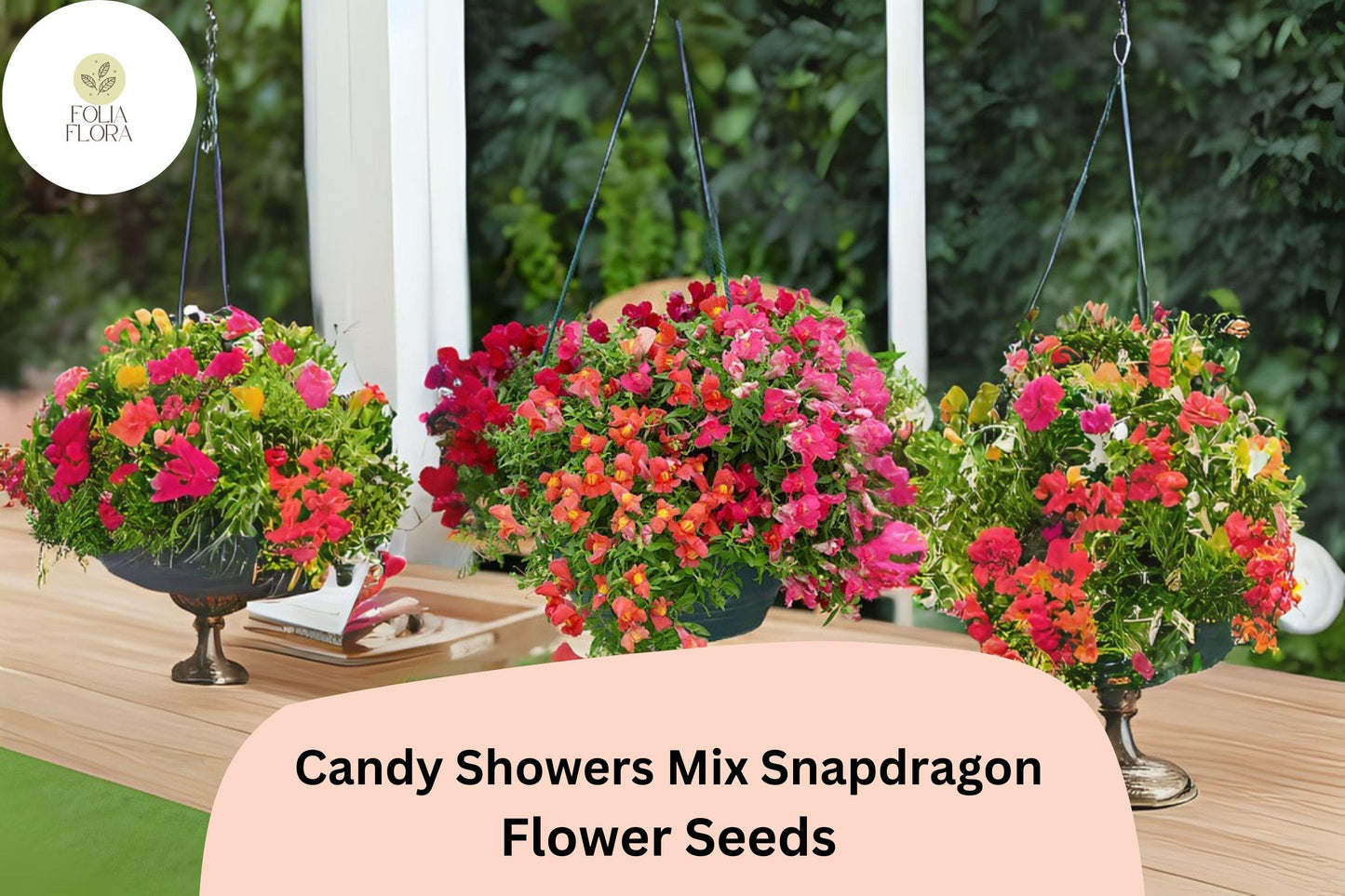 Candy Showers Mix Snapdragon Seeds (Antirrhinum majus) | 1000+ Seeds | Cascading Blooms for Gardens & Hanging Baskets