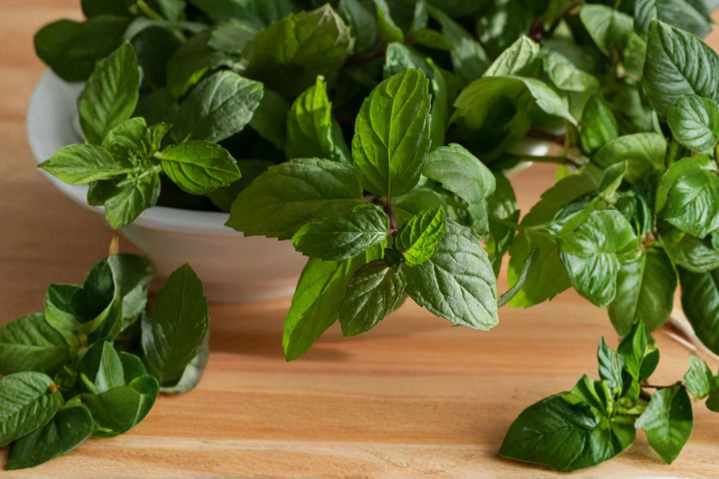 Citrus Mint Live Plant | Mentha | Fragrant Culinary Herb Starter Plant for Tea, Cocktails & Cooking
