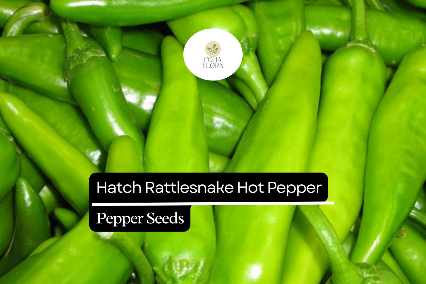 25 Hatch Rattlesnake Pepper Seeds – Capsicum annuum – Heirloom, Spicy & Smoky