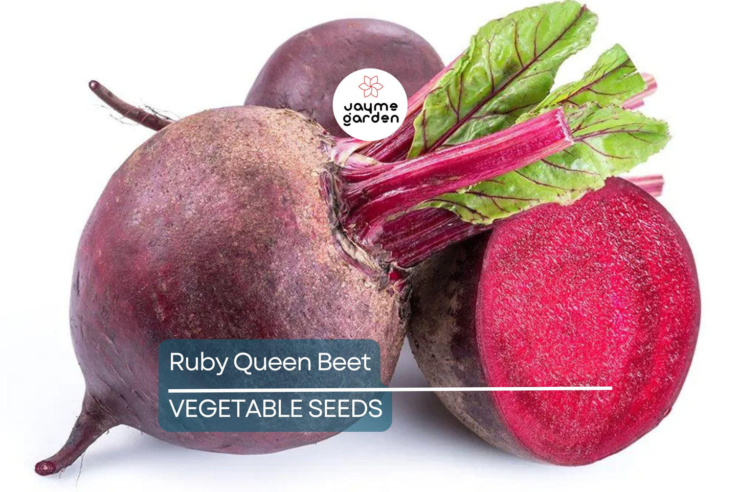 500 Ruby Queen Beet Seeds ā Non-GMO Heirloom | Tender & Flavorful | Perfect for Canning | USA Seller