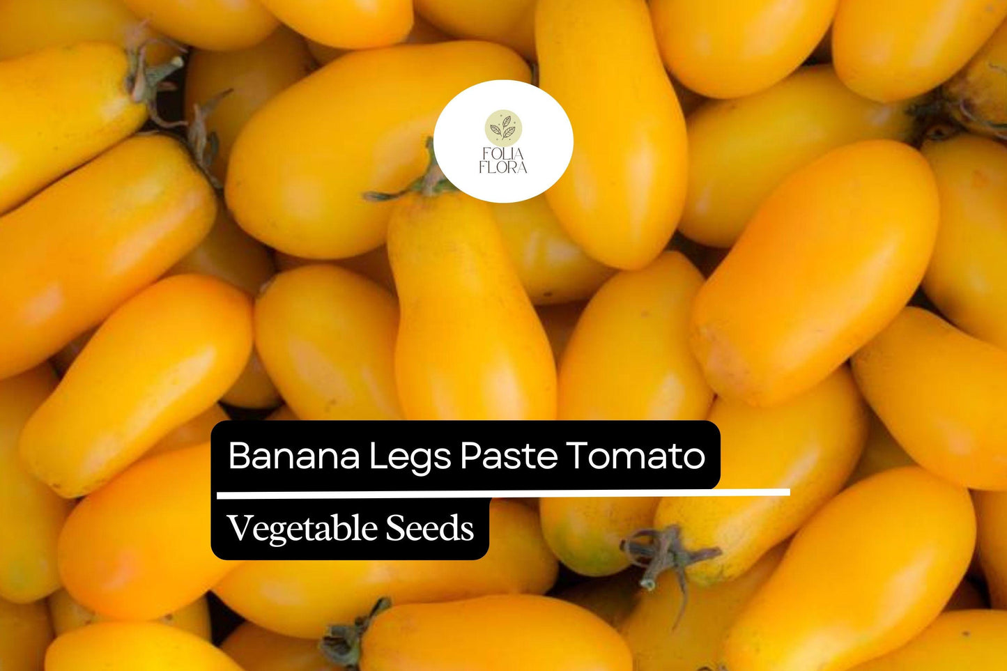 30 Banana Legs Tomato Seeds – Solanum lycopersicum – Heirloom, Yellow Paste Tomato, Mild & Meaty, Perfect for Sauces