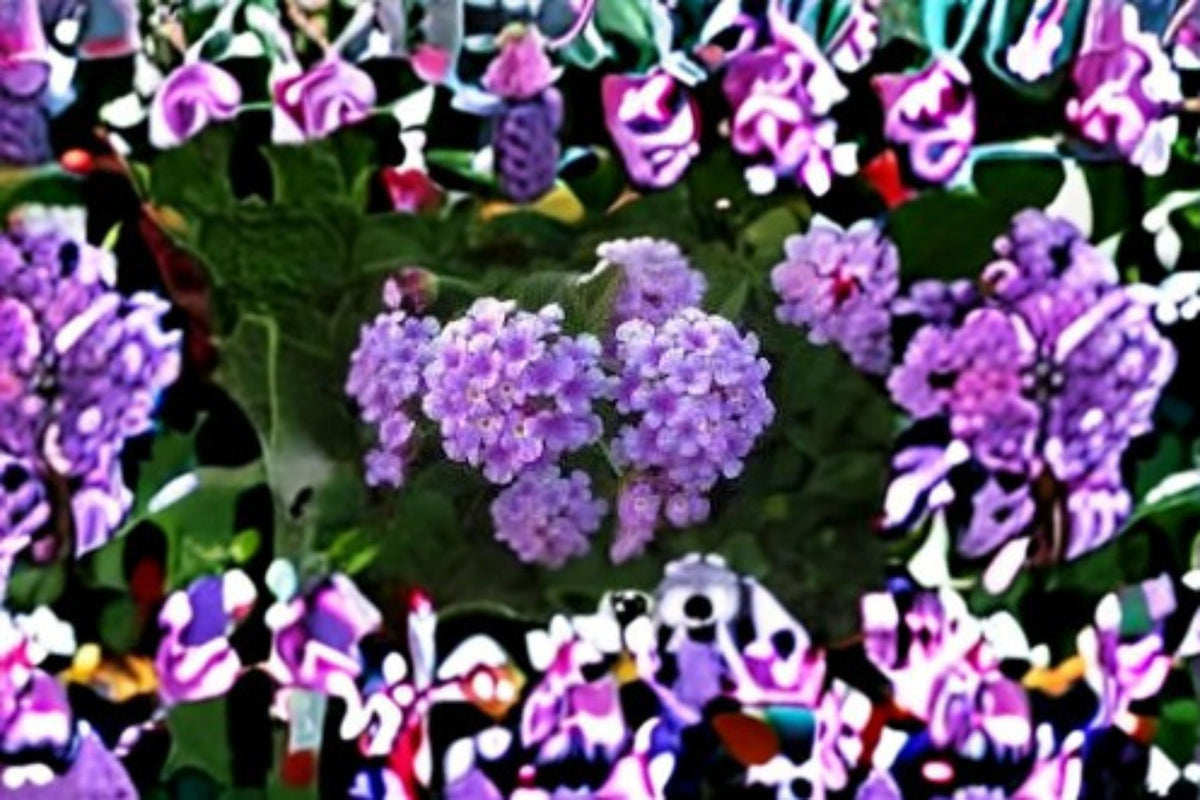 3 Trailing Purple Lantana Cuttings | Lantana montevidensis | Weeping Creeping Lantana | Purple Flowering Plant | Unrooted Cuttings
