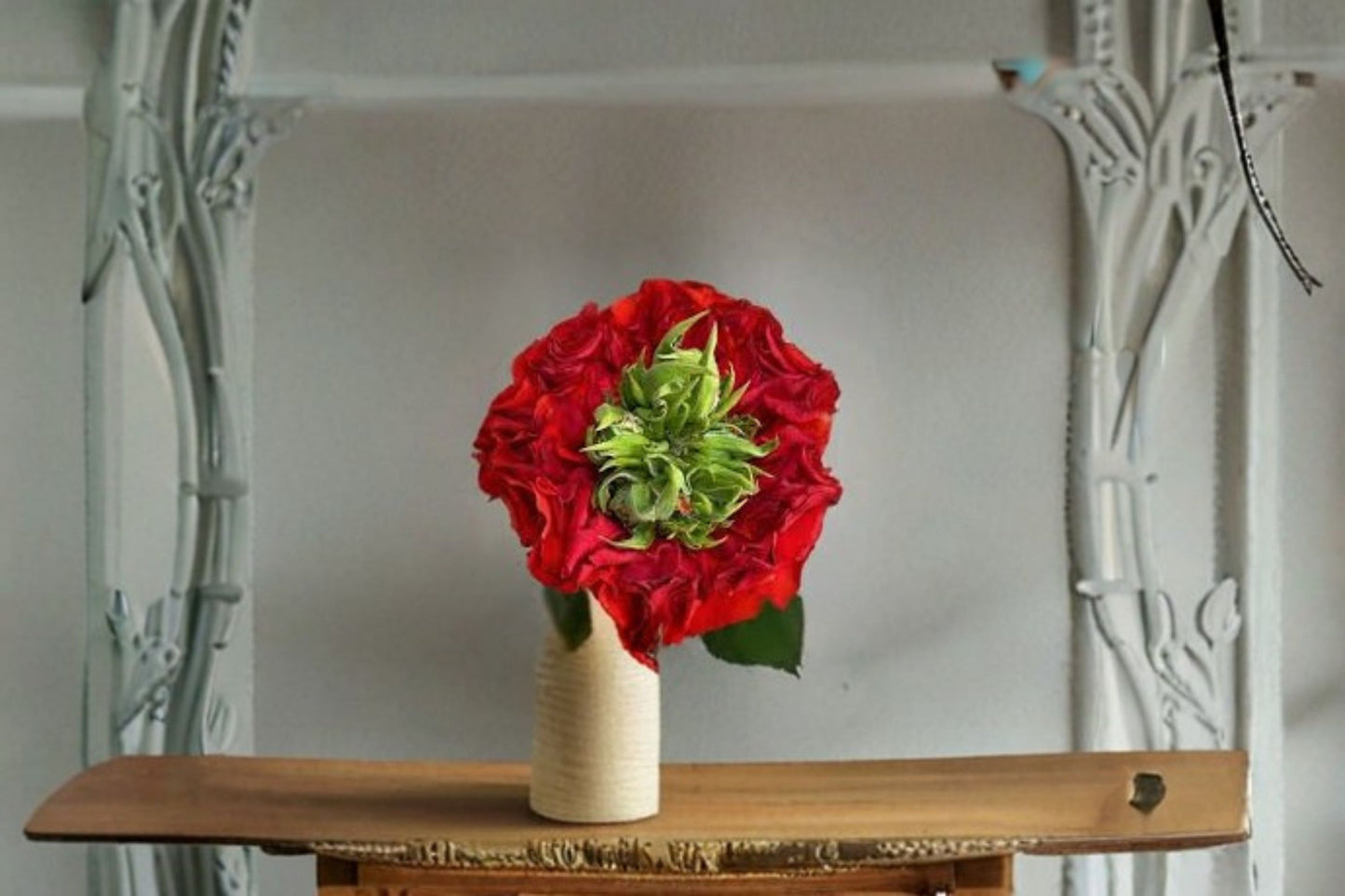 Red Eye Rose Live Plant – Repeat Blooming Shrub Cut Rose