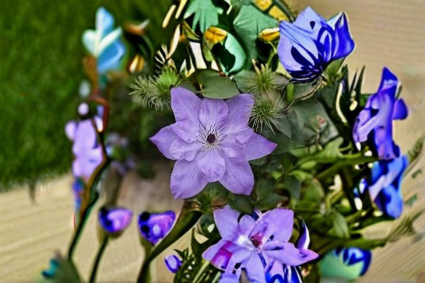 Reflection Clematis Live Plant – Pink Purple Large Flower Vine