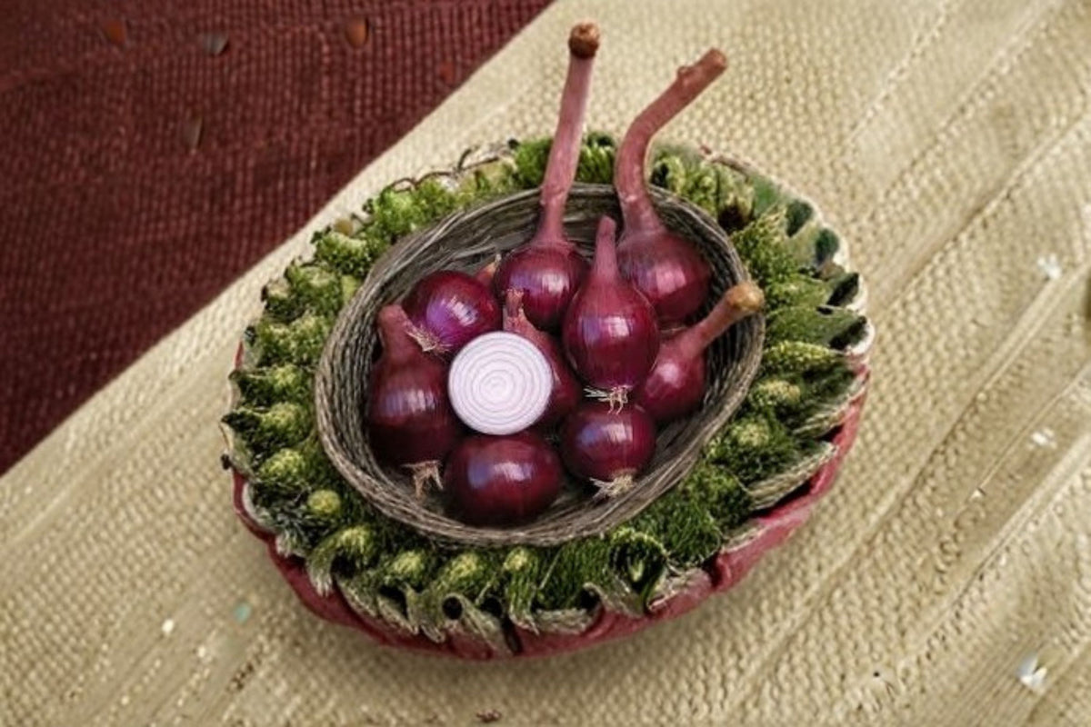 Red Baron 1 Lb Bulbs – Non-GMO Allium cepa Onion Sets