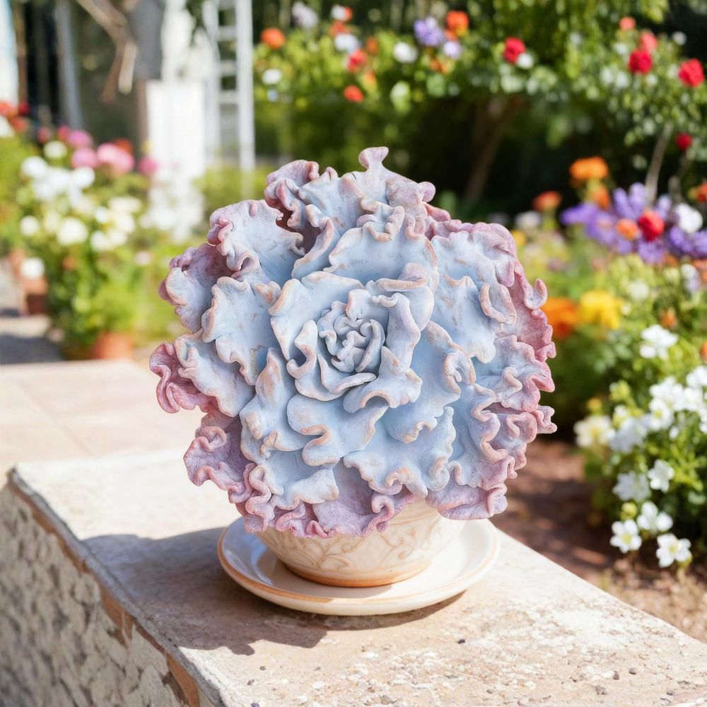 Echeveria 'Ballet Dancer' Live Succulent | 3.5 Inch Rare Echeveria | Bare Root | Imported Rosette Plant | Easy Care Houseplant