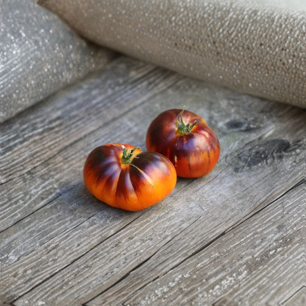 Lucid Gem Tomato – Solanum lycopersicum Seeds | 15 Organically Grown Seeds | Wild Boar Farms Heirloom Variety | Garden & Container Friendly | Easy to Grow