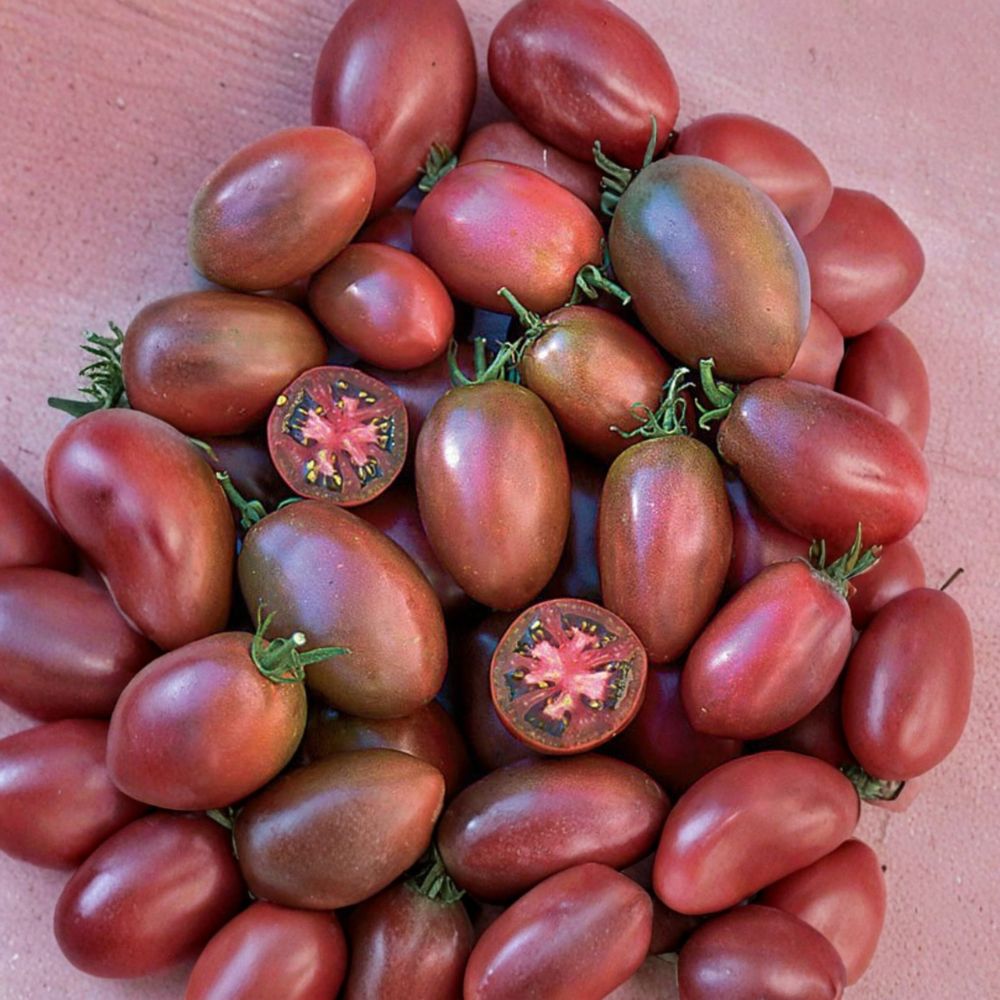 Ukrainian Purple Tomato – Solanum lycopersicum Seeds | 50 Organically Grown Seeds | Heirloom Non-GMO Paste Tomato | Garden & Container Friendly | Easy to Grow