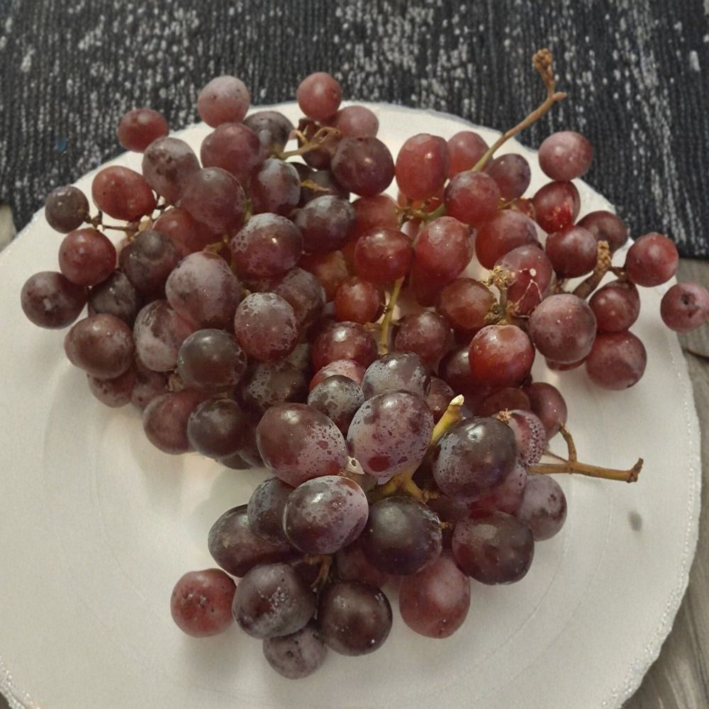 Red Globe Grape Vine – Vitis vinifera Live Plant | 1 Gallon Size | Self-Fertile Fruit Vine | "Do It All" Grape Variety | Easy to Grow