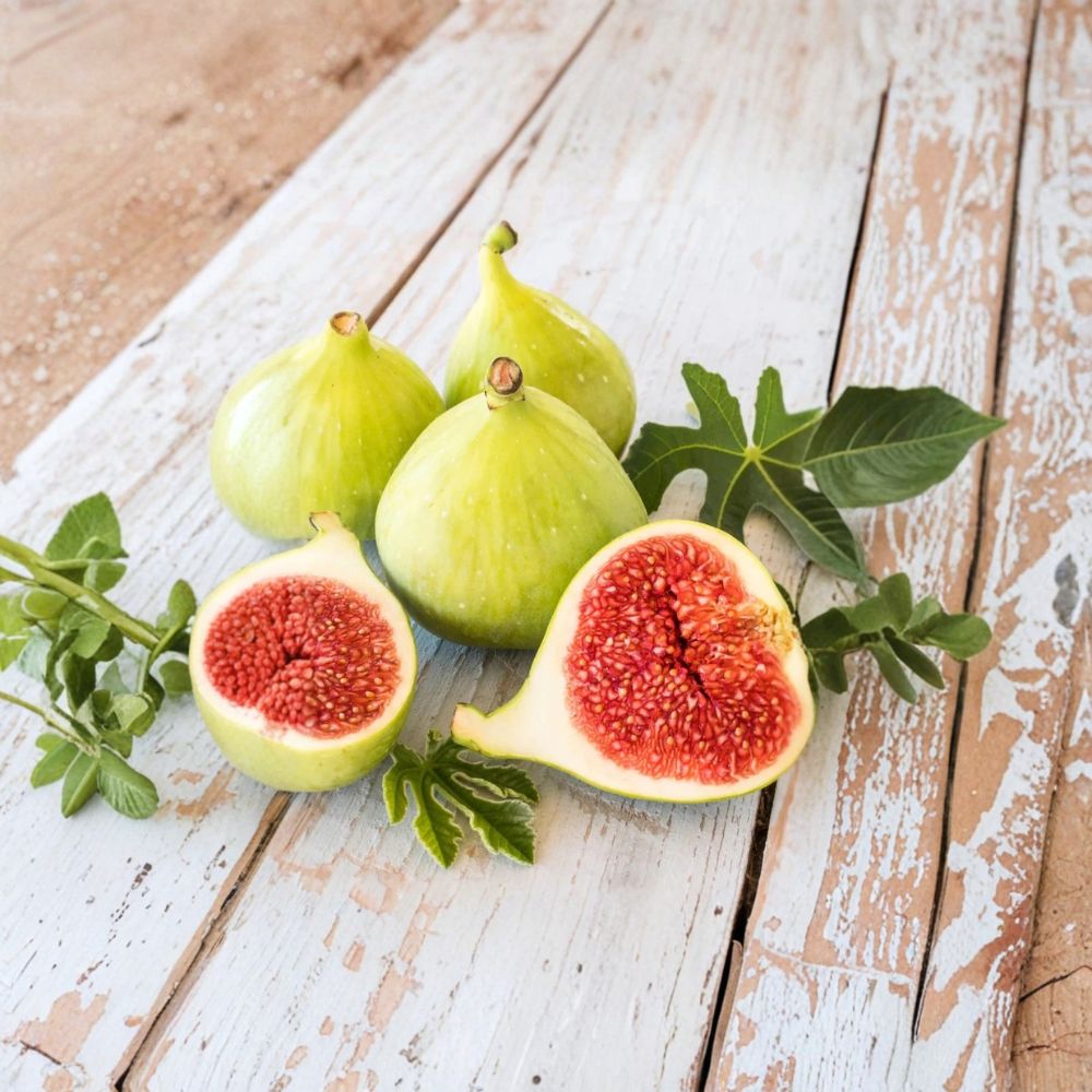 LSU Gold Fig Tree – Ficus carica 'LSU Gold' | Bare Root Starter Plant | Cold Hardy Fruit Tree | Sweet Honey Flavor | Easy to Grow