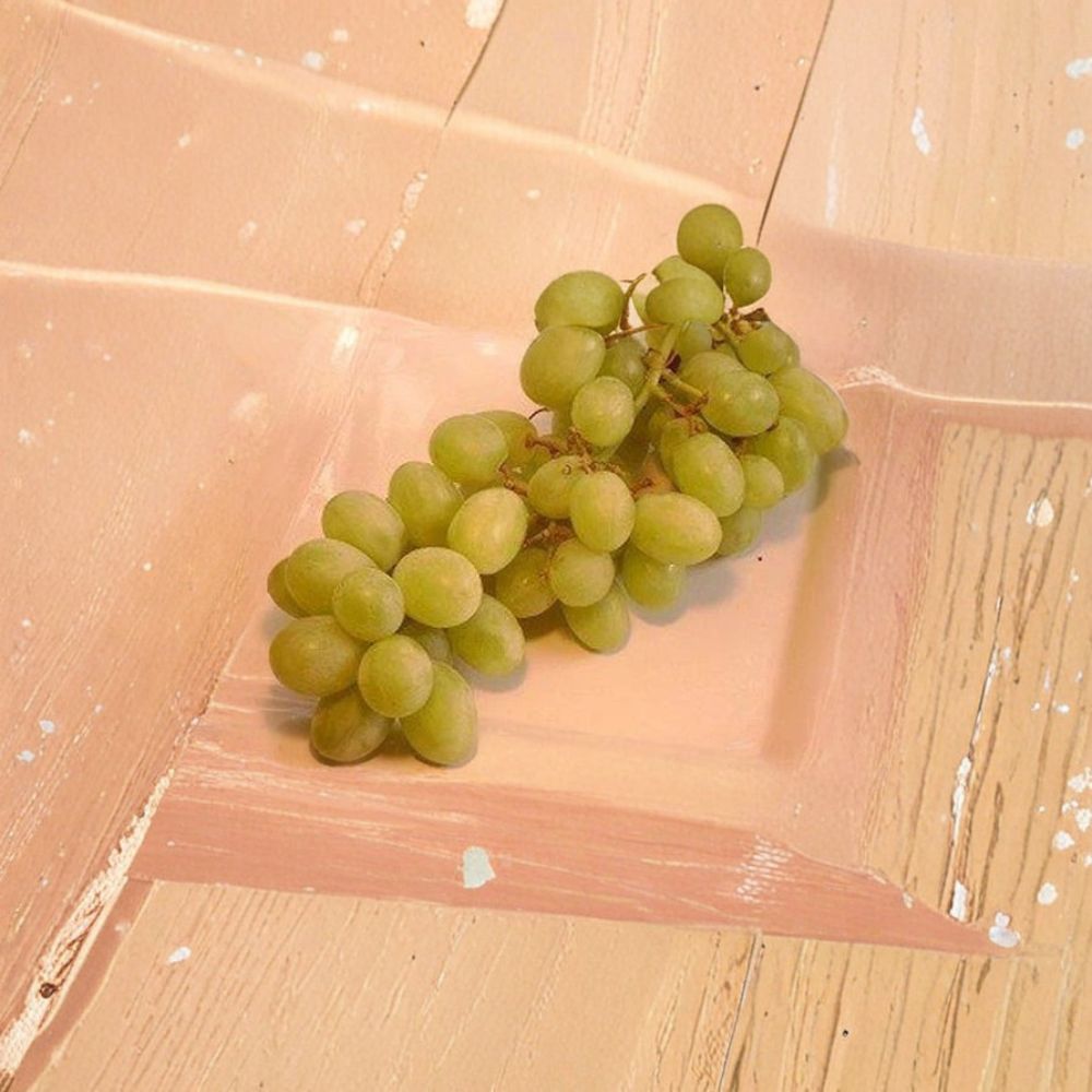 Chardonnay White Wine Grape Vine – Vitis vinifera Live Plant | 3 Gallon Size | Self-Fertile Fruit Vine | Premium White Wine Grape | Easy to Grow