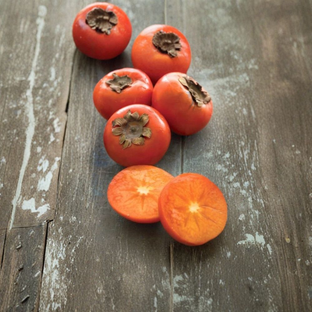 American Common Persimmon – Diospyros virginiana Live Starter Tree | Well-Rooted in Pot | Native Fruit Tree | Cold Hardy