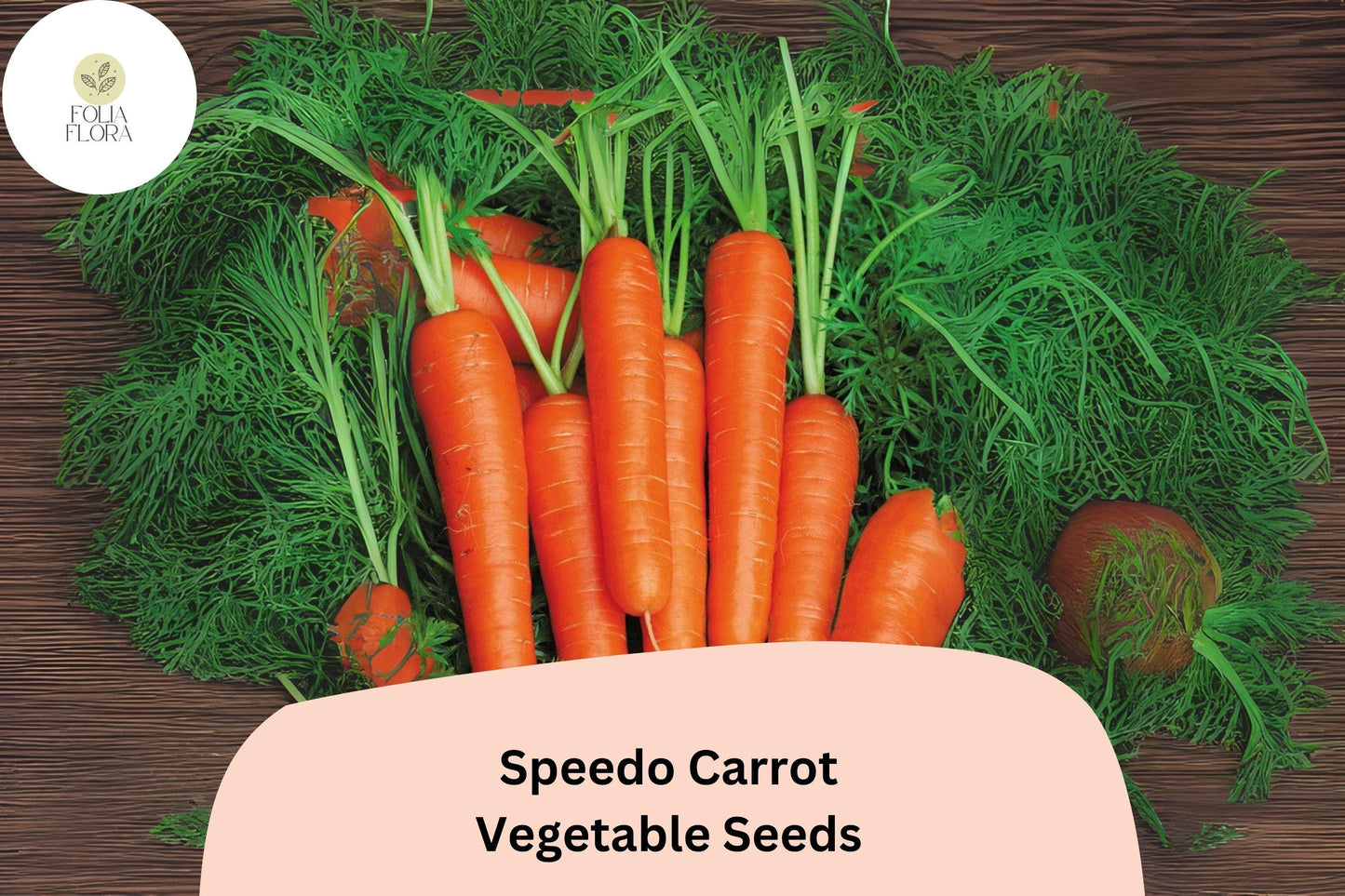 1000+ Speedo Carrot Seeds – Fast-Growing, Sweet & Tender Variety