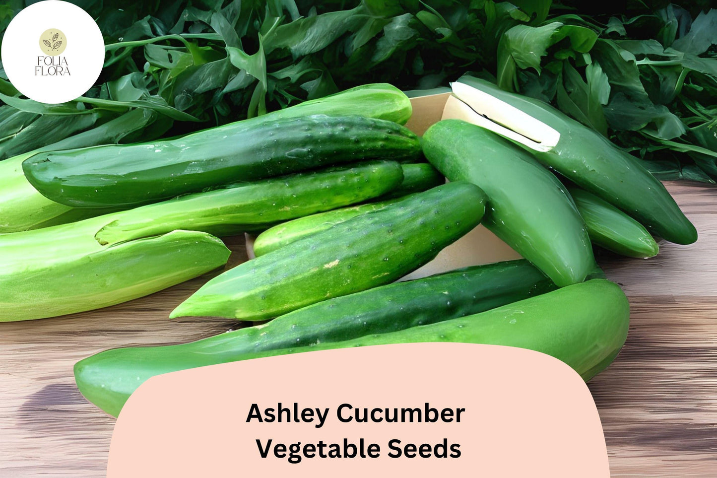 25+ Ashley Cucumber Seeds | Heirloom Slicing Variety | Disease Resistant | Non-GMO Easy Garden Planting