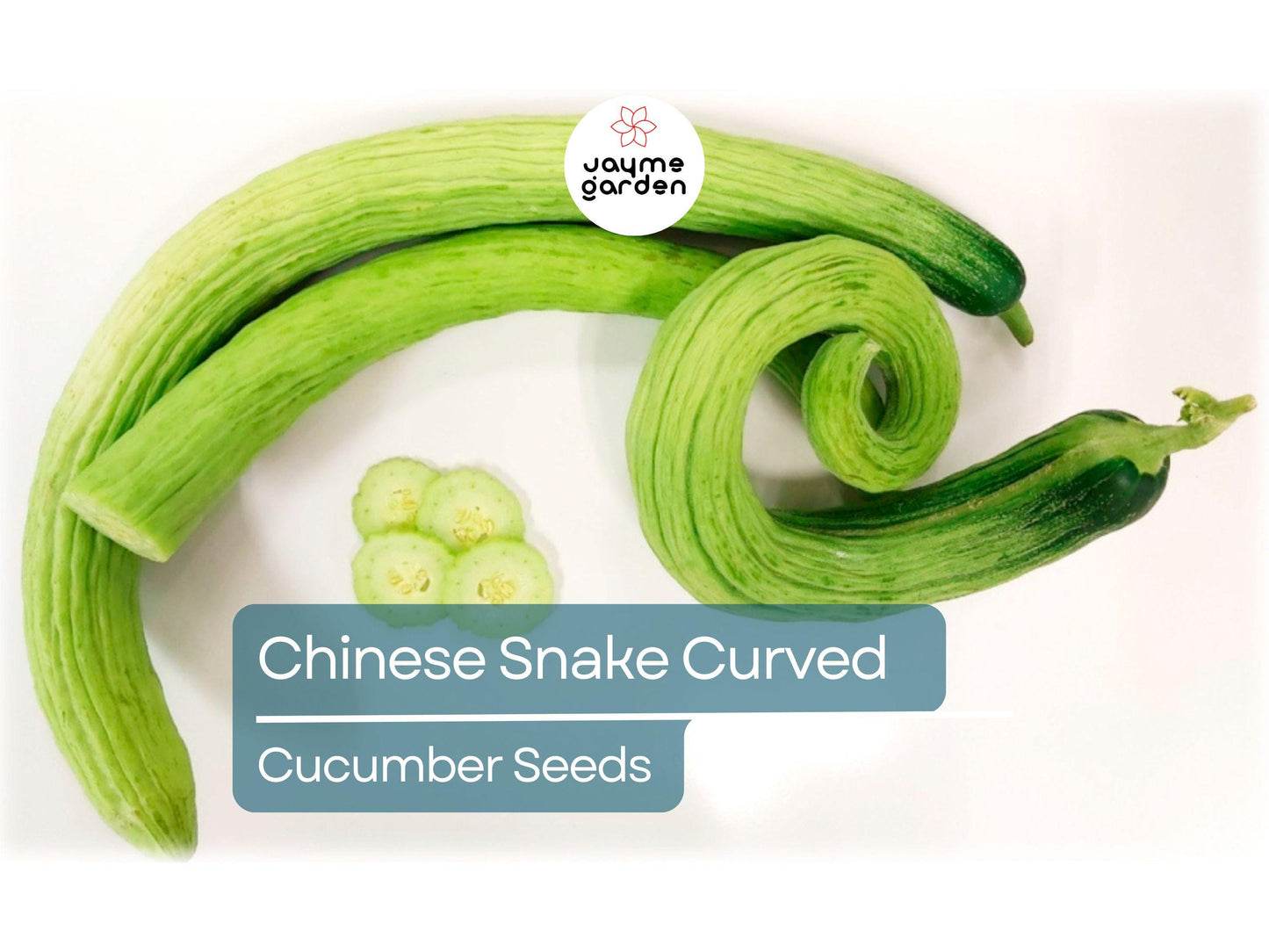 10 Seeds Chinese Snake Cucumber | Curved Heirloom Cucumber Seeds for Planting | Crisp & Refreshing | Heat Tolerant | Unique Long Shape