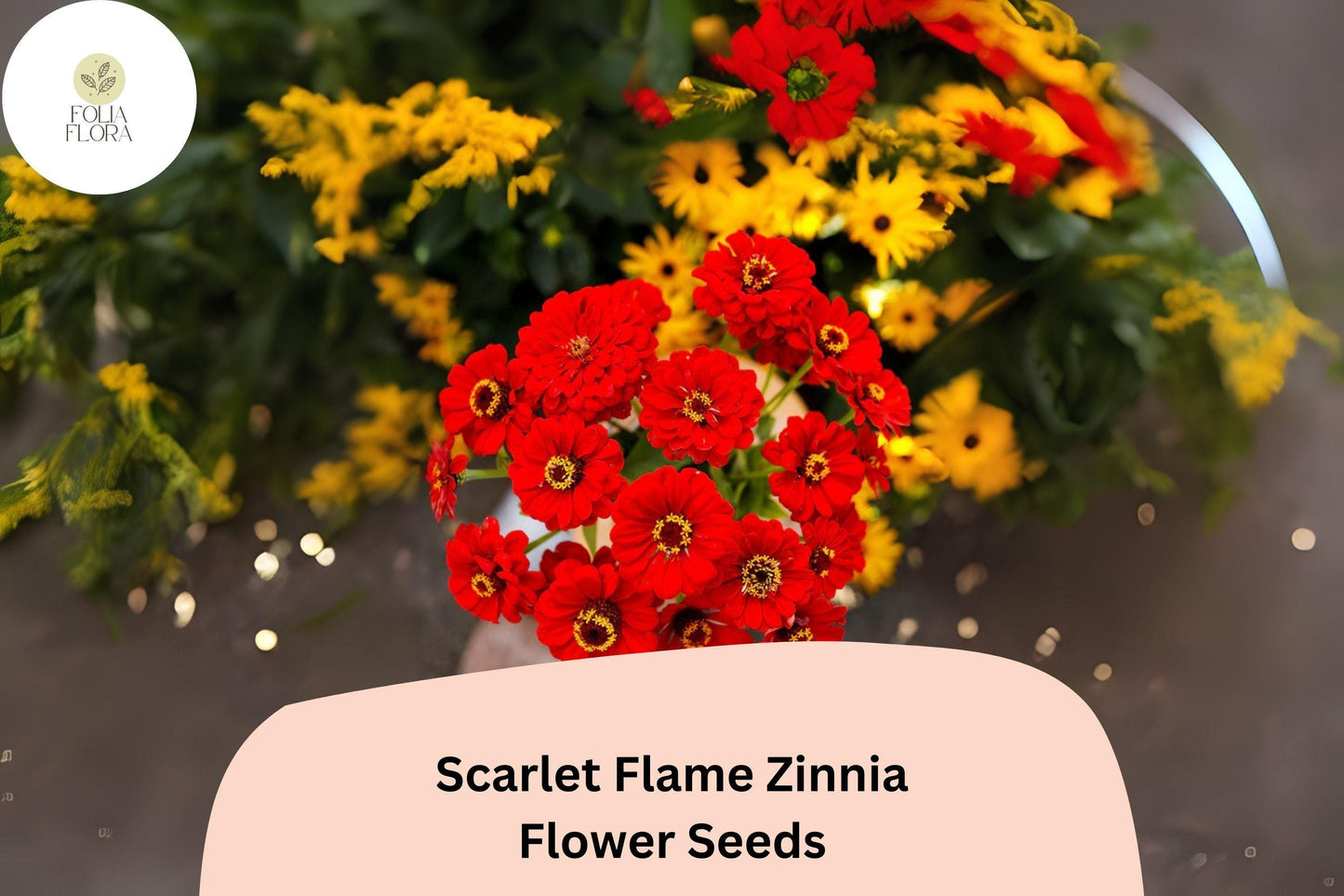 100+ Scarlet Flame Zinnia Seeds – Bright Red Blooms for Garden Planting, Borders & Cut Flowers