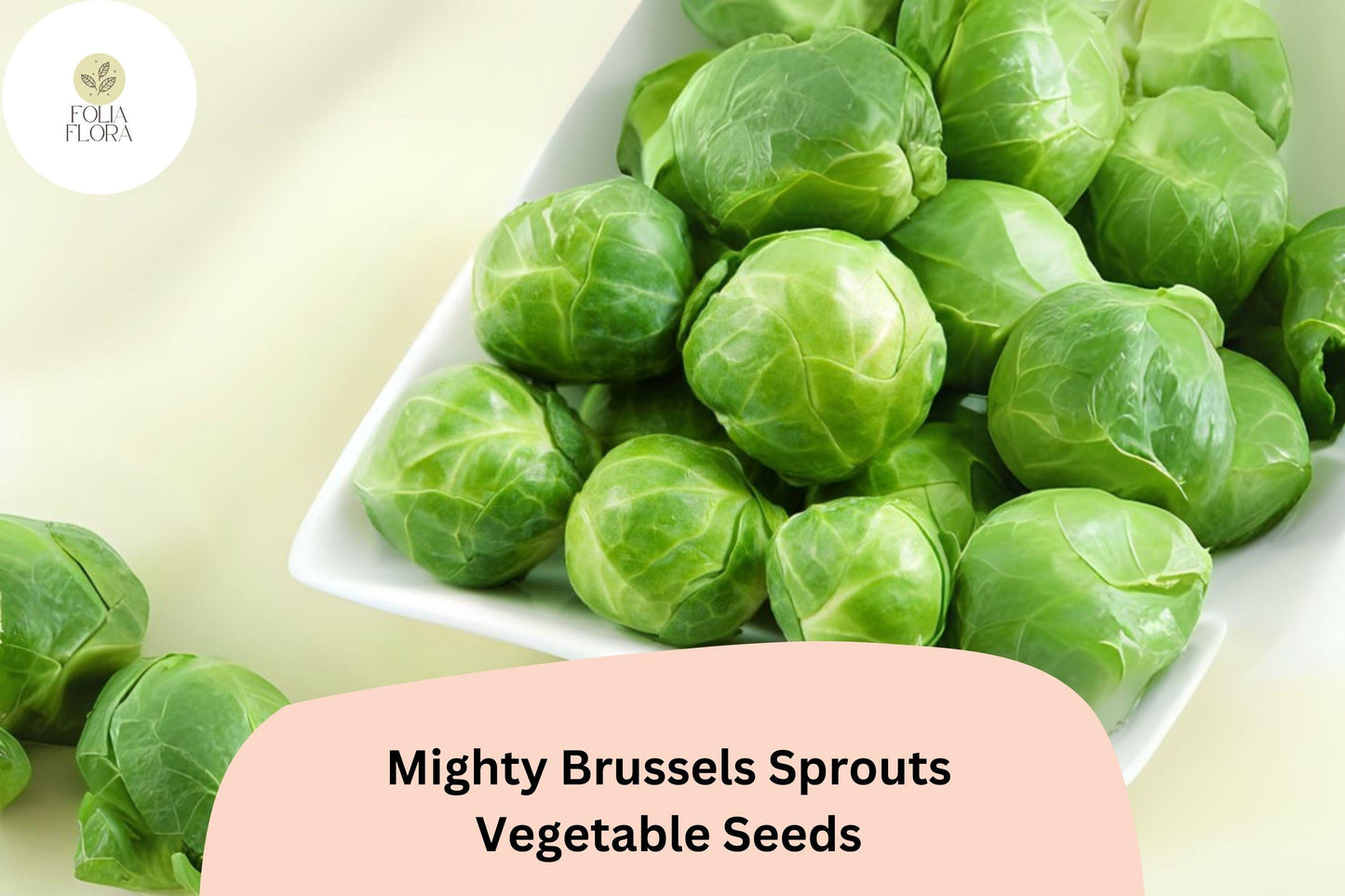 500+ Mighty Brussels Sprouts Seeds – High-Yield, Cold-Hardy Variety for Garden
